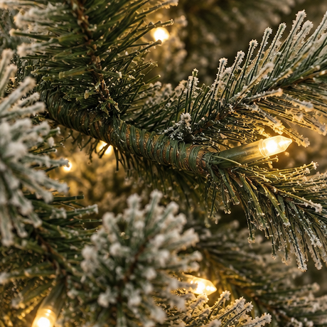 Wrapped Branches